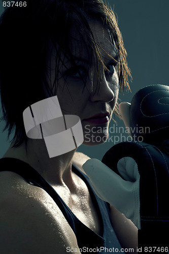 Image of Female boxer