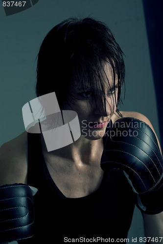 Image of Female boxer