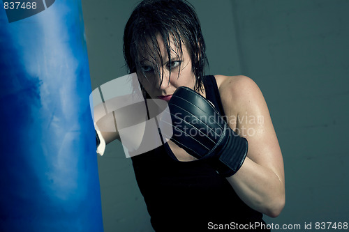 Image of Female boxer