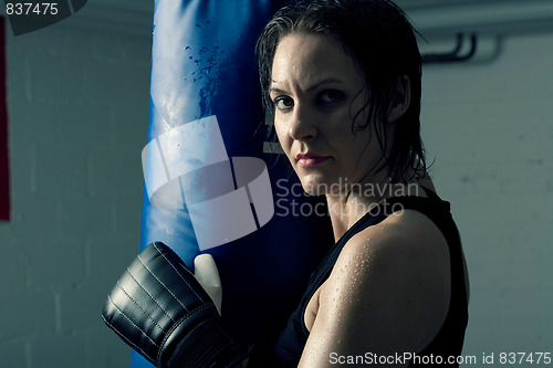 Image of Female boxer