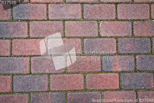Image of Pavement