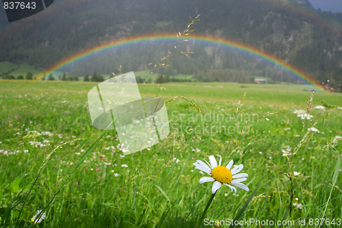 Image of Rainbow