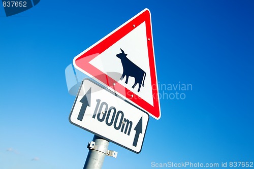 Image of Cow sign