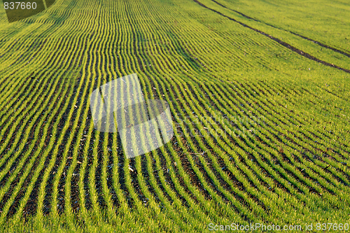 Image of Agriculture