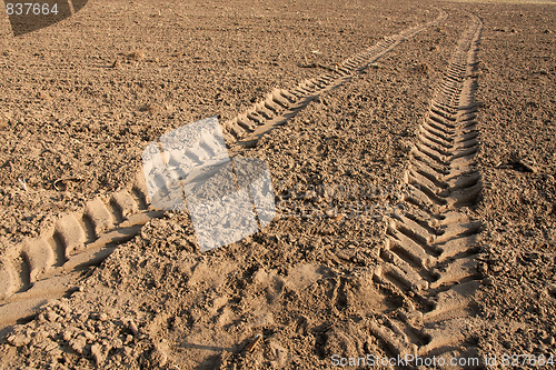 Image of Tractor trail