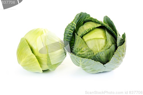 Image of green cabbage