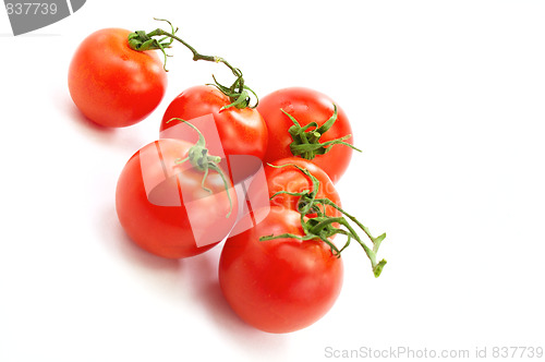 Image of Fresh tomatos