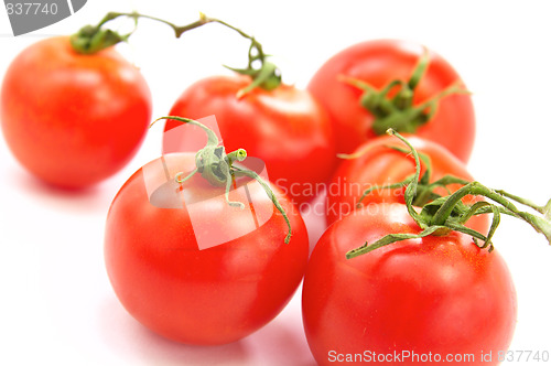 Image of Fresh tomatos