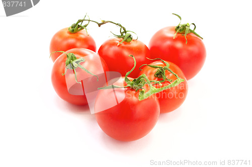 Image of Fresh tomatos