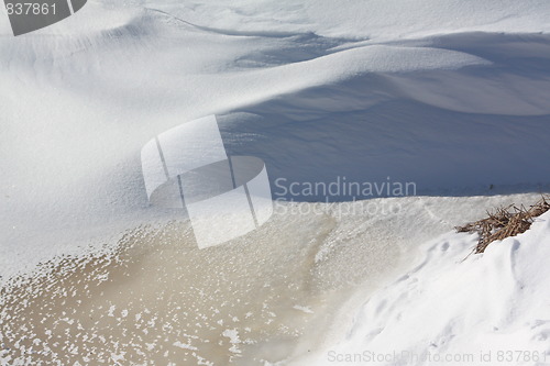 Image of Nature of winter