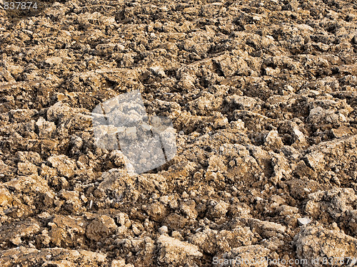 Image of Soil background