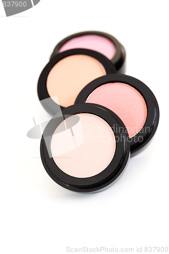 Image of powder compact