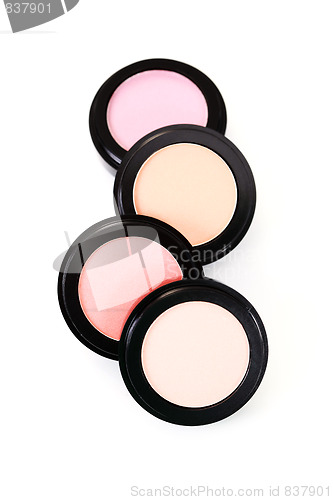 Image of powder compact