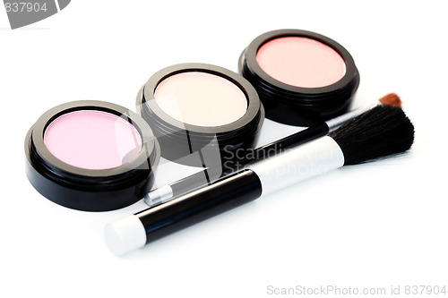 Image of powder compact