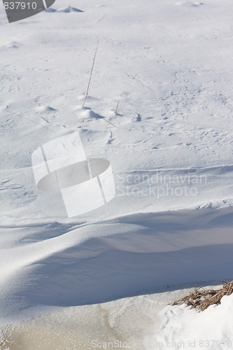 Image of Nature of winter
