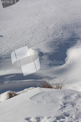 Image of Nature of winter