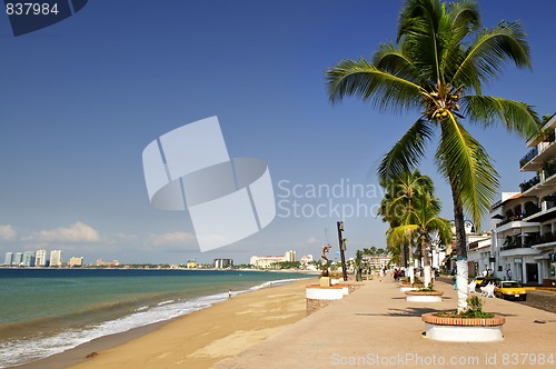 Image of Pacific coast of Mexico