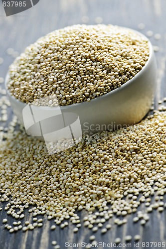 Image of Quinoa grain closeup