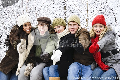 Image of Group of friends outside in winter