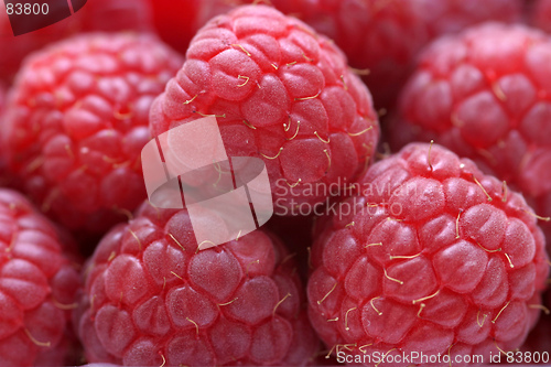 Image of Raspberries Close Up