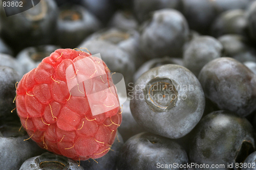 Image of Raspberry and Blueberries