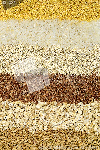 Image of Various grains close up