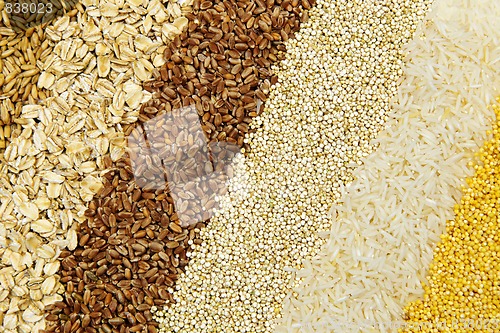 Image of Various grains close up