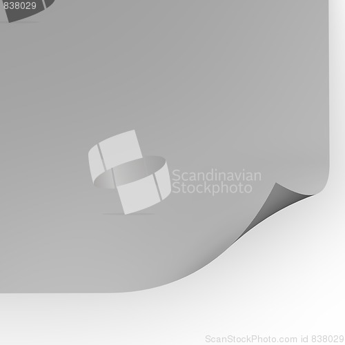 Image of curl