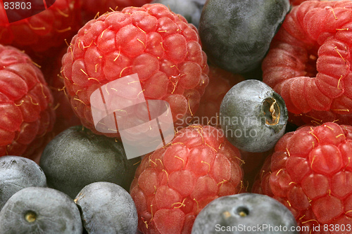 Image of Mixed Fruit