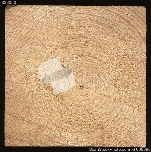 Image of Wood rings