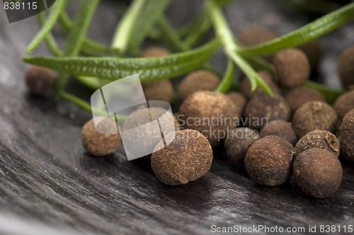 Image of allspice with fresh rosemary