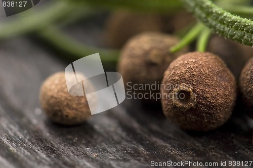 Image of allspice with fresh rosemary