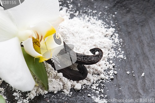 Image of vanilla beans with aromatic sugar and flower