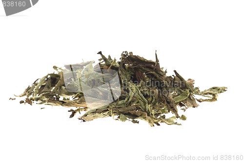 Image of Dried Stevia Rebaudiana - natural sweetener isolated on white 