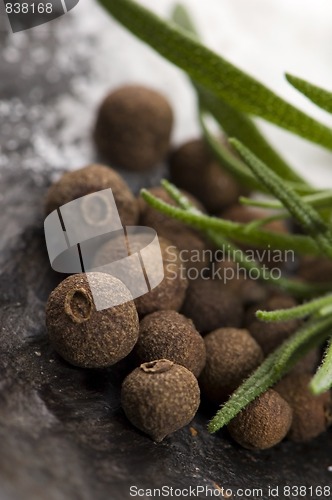 Image of allspice with fresh rosemary