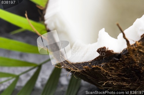 Image of open coconut