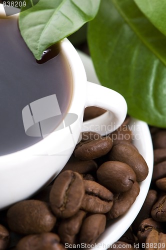 Image of fresh coffee with coffee branch
