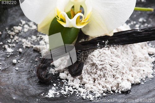 Image of vanilla beans with aromatic sugar, milk and flower 