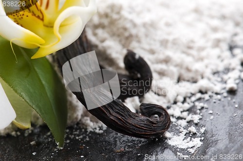 Image of vanilla beans with aromatic sugar and flower