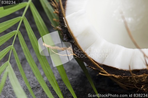 Image of open coconut