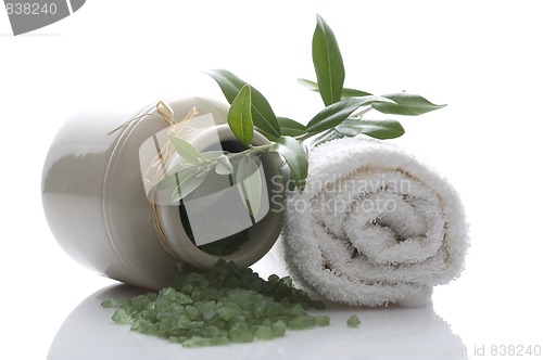 Image of fresh olive branch and bath salt. spa