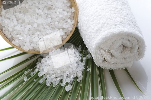 Image of bath salt and palm leaf