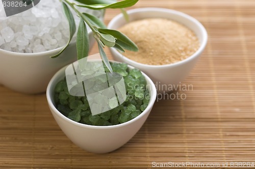 Image of fresh olive branch and bath salt. spa