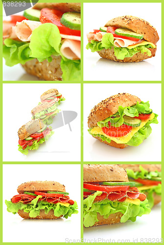 Image of Collage of many different fresh sandwichs