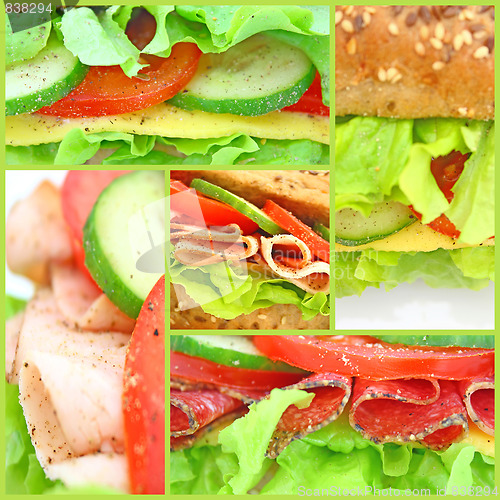 Image of Collage of many different fresh sandwichs