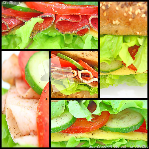 Image of Collage of many different fresh sandwichs
