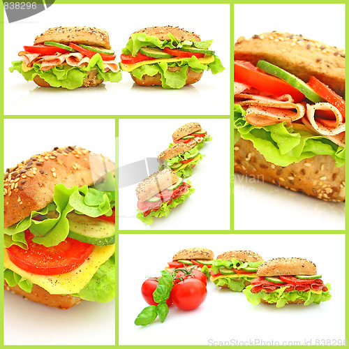 Image of Collage of many different fresh sandwichs