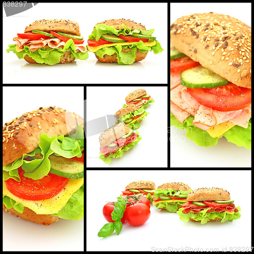 Image of Collage of many different fresh sandwichs