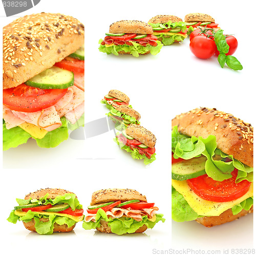 Image of Collage of many different fresh sandwichs