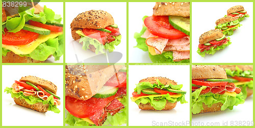 Image of Collage of many different fresh sandwichs